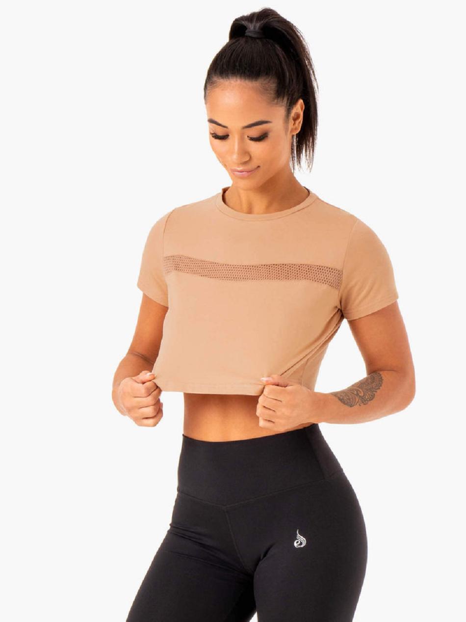 Brown Women\'s Ryderwear Hybrid Mesh Tee Top | 61ES35886