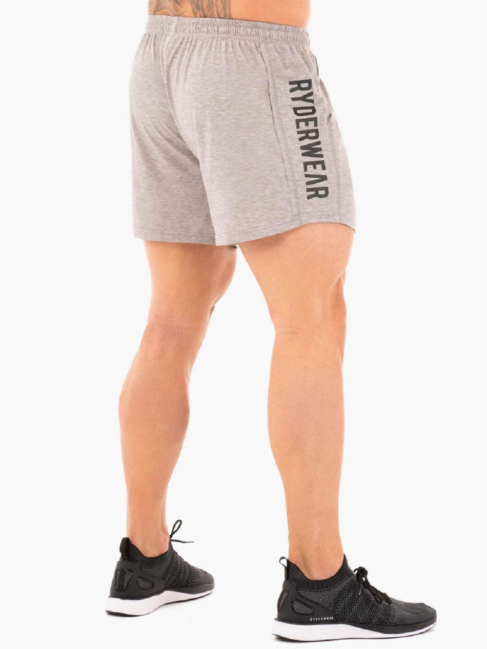 Grey Men's Ryderwear Arnie Shorts | 95KR27270