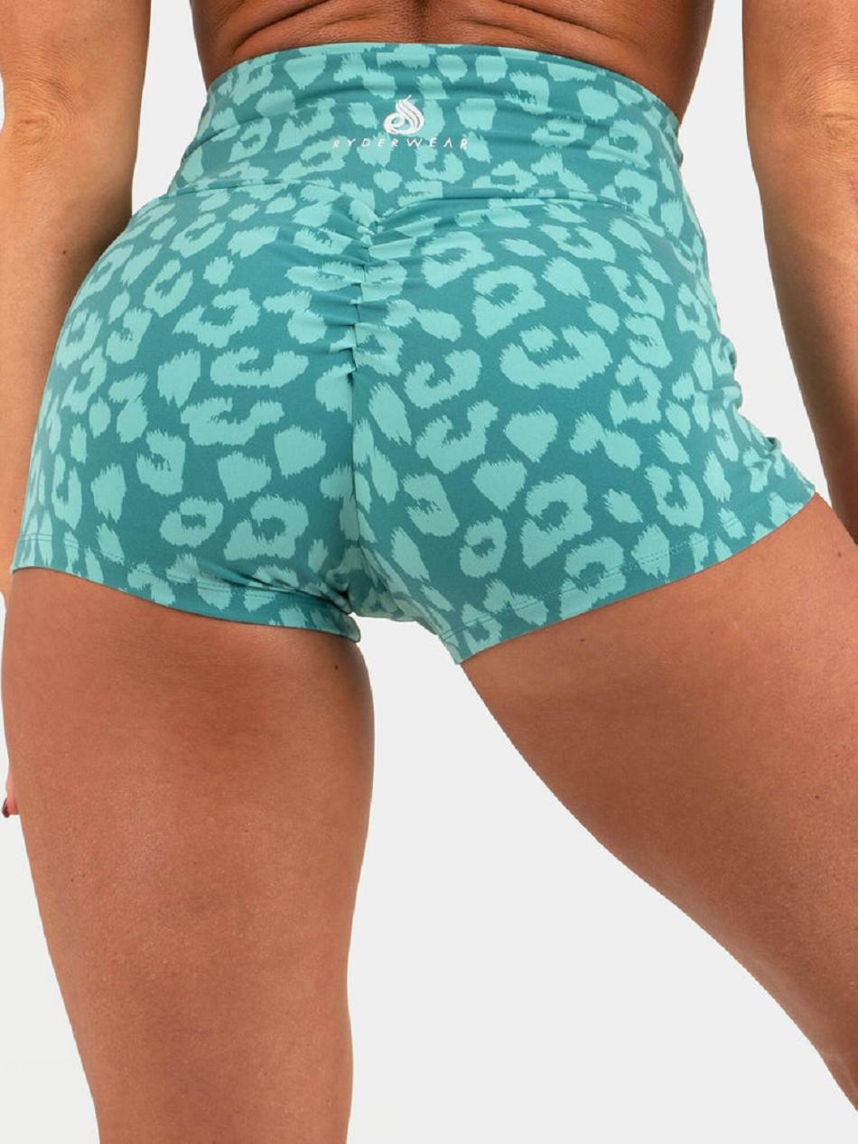 Leopard / Turquoise Women's Ryderwear Animal Shorts Scrunch Bum | 67U4077085