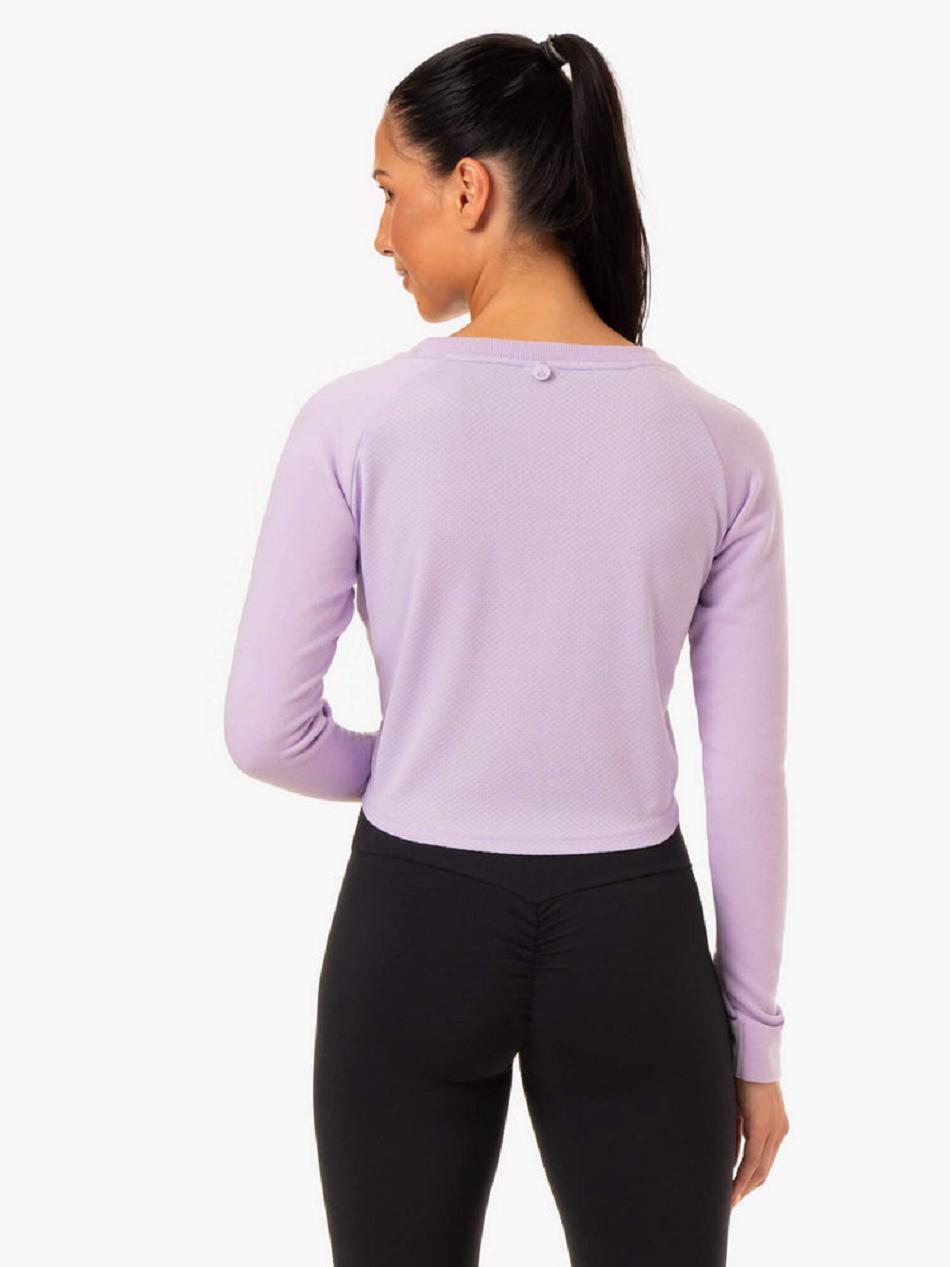 Purple Women's Ryderwear Staples Cropped Sweater Top | 5G5712771