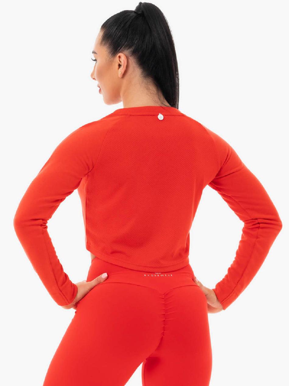 Red Women's Ryderwear Staples Cropped Sweater Top | OKT40224