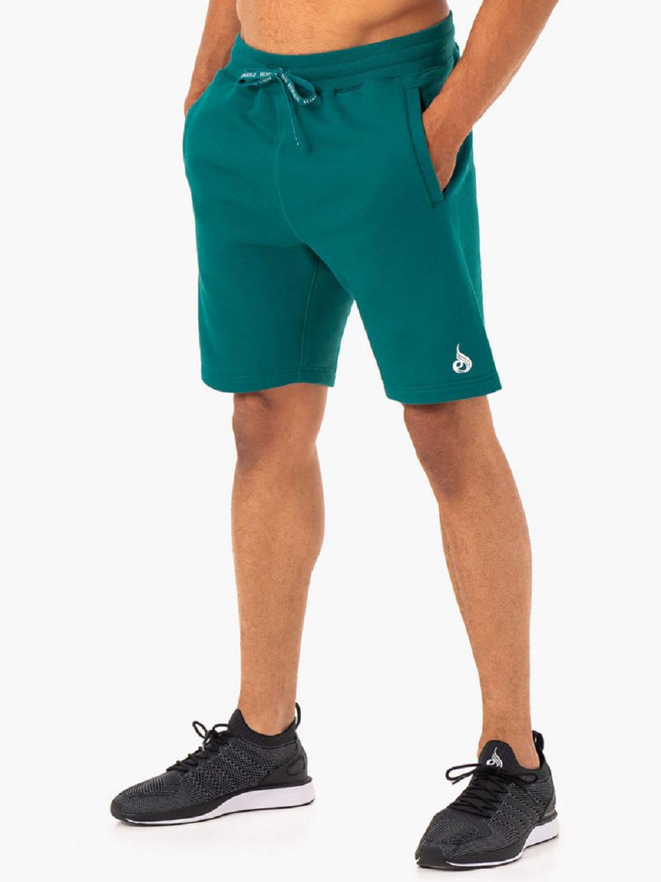 Turquoise Men's Ryderwear Recharge Track Shorts | 155IV47333